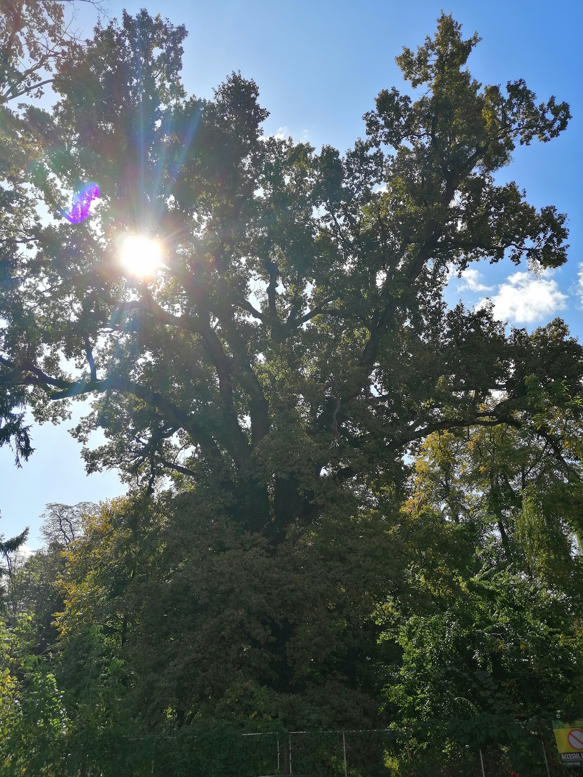 Rezervatia Naturala "Paraul Peta"