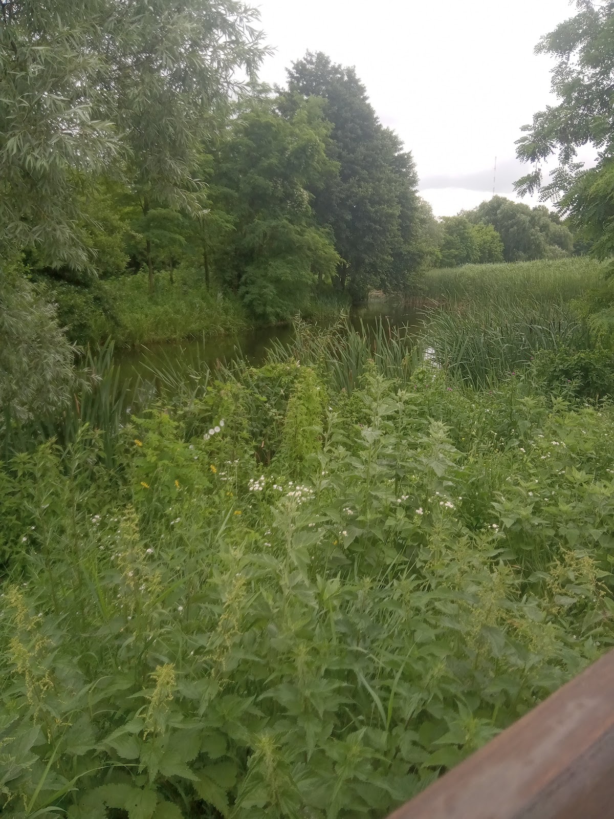 Rezervatia Naturala "Paraul Peta" - foto 4
