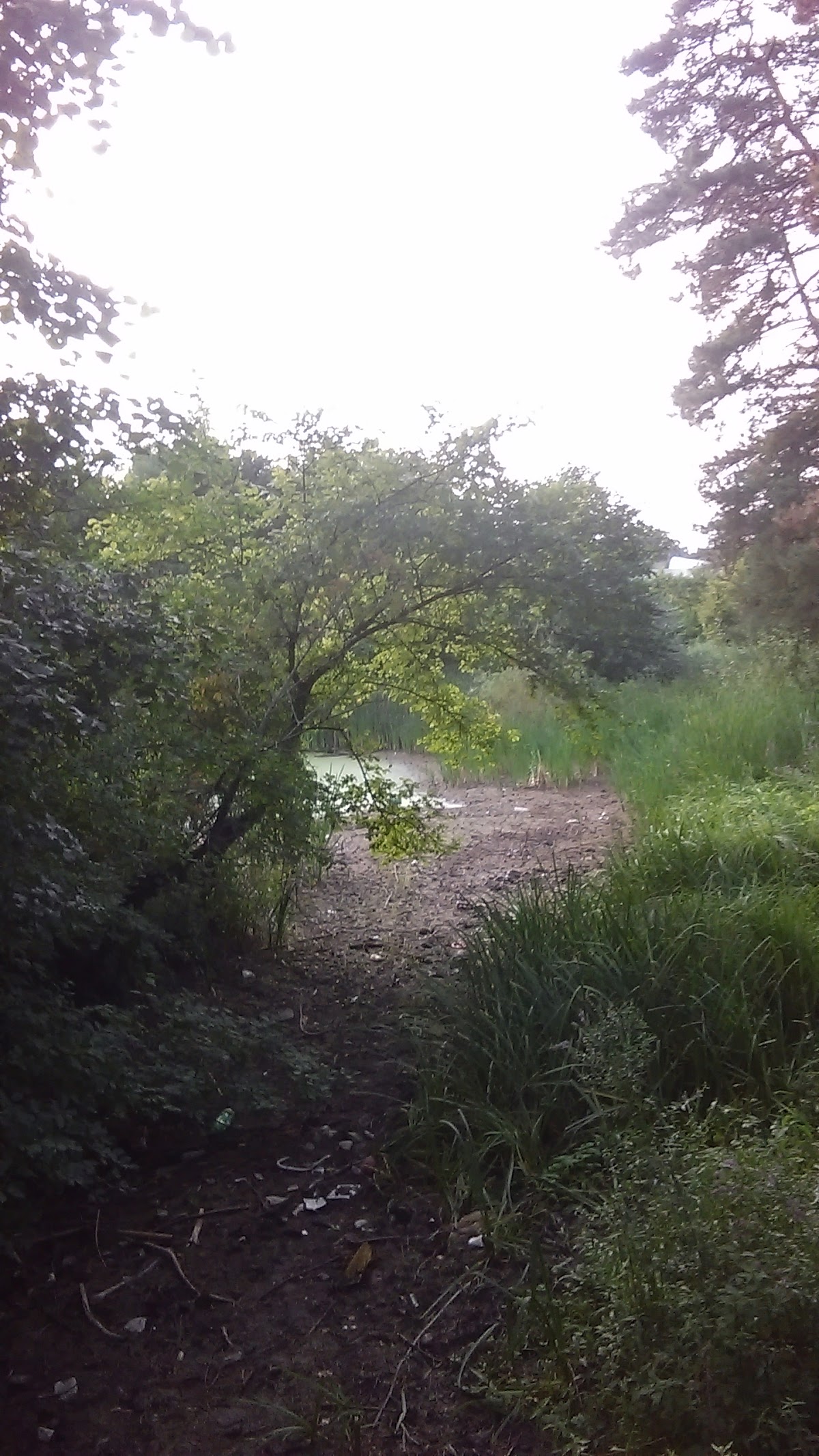 Rezervatia Naturala "Paraul Peta" - foto 5