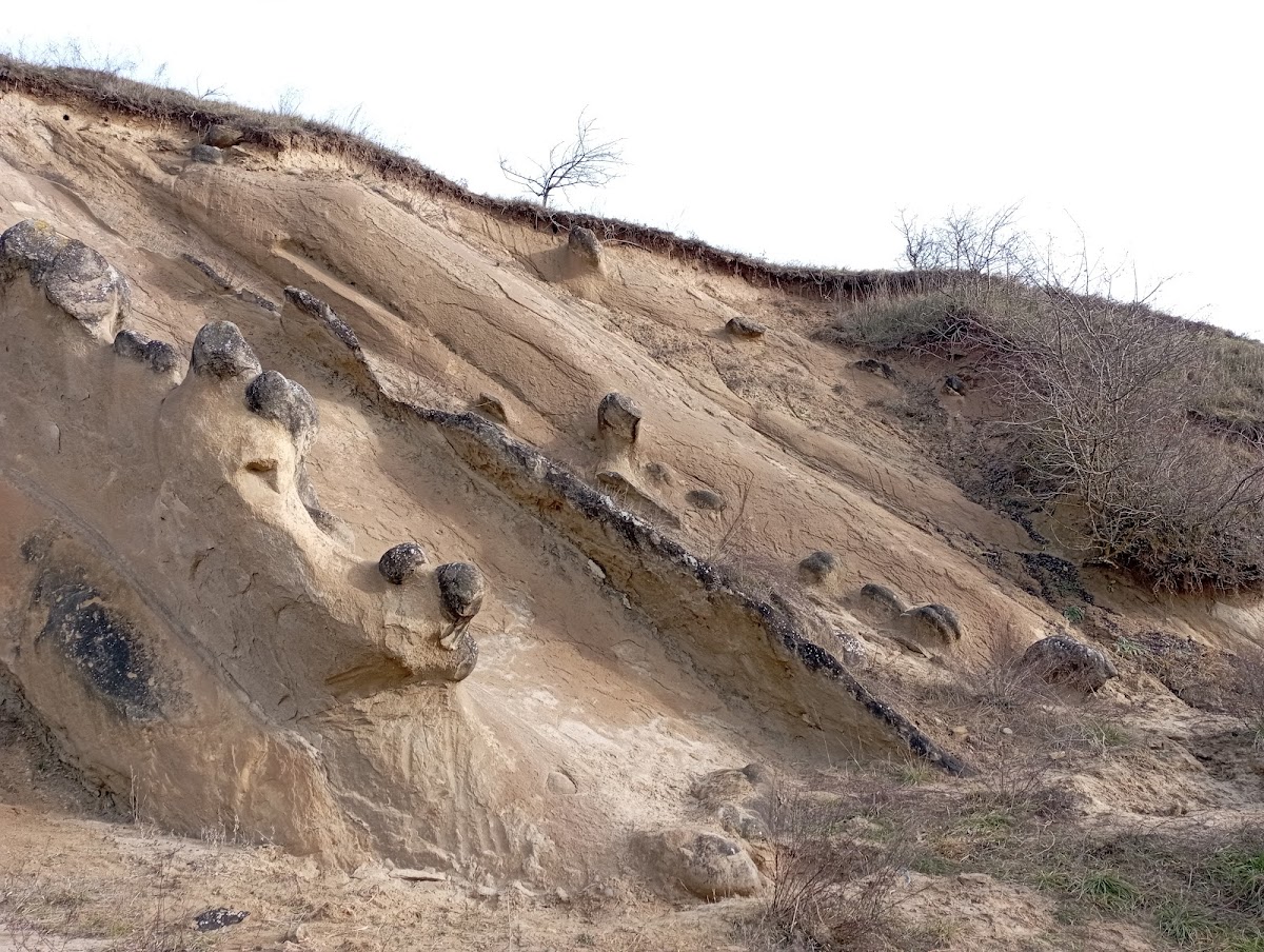 Rezervația Naturală „Râpa cu Păpuși”