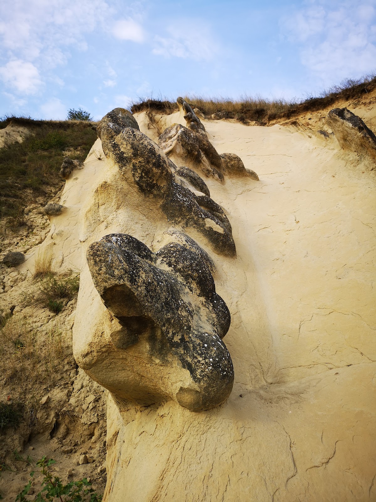 Riserva Naturale “Râpa cu Păpuși” - foto 2
