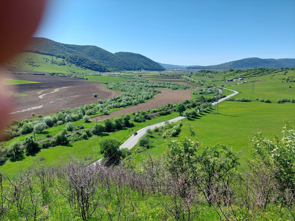 Riserva Naturale “Râpa cu Păpuși” - foto 3