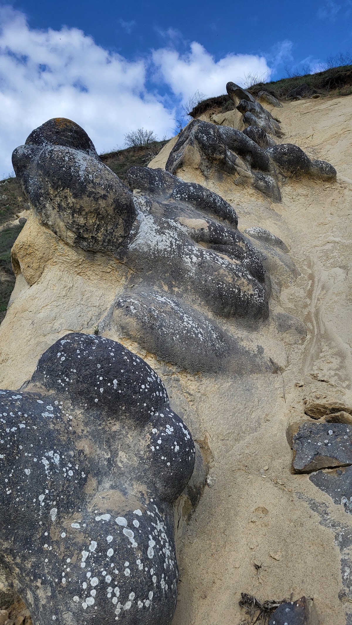 Riserva Naturale “Râpa cu Păpuși” - foto 4