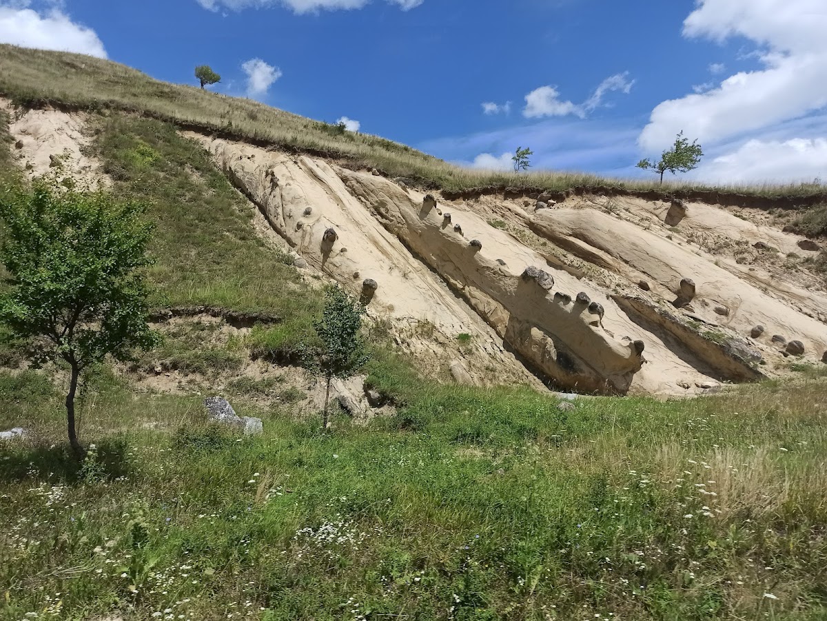 Riserva Naturale “Râpa cu Păpuși” - foto 5