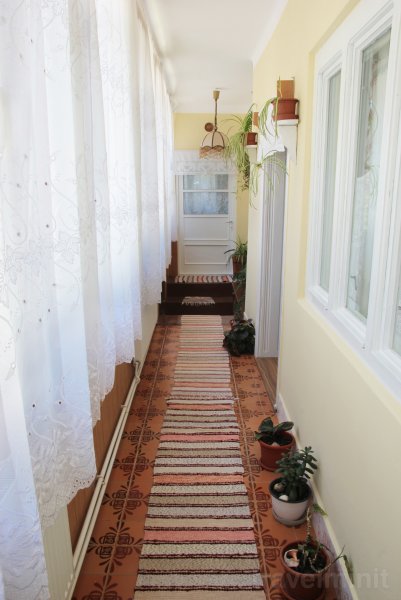 Rigó Nest
