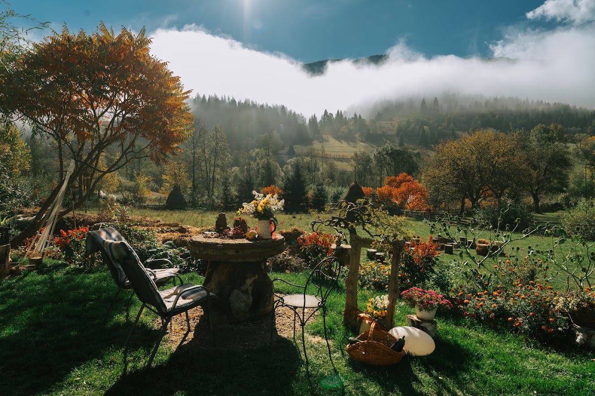RIVUS RETREAT PENSIUNE