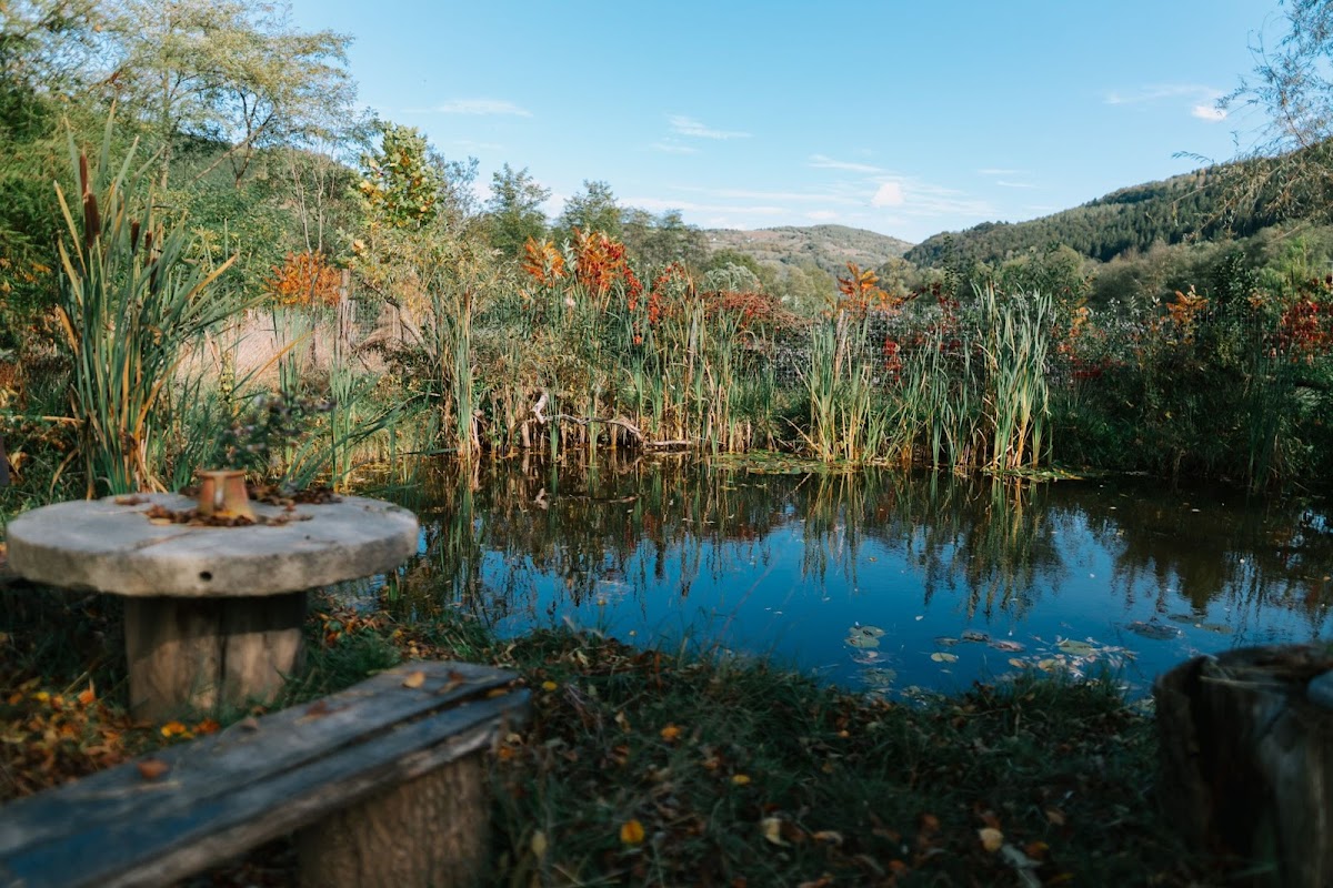 RIVUS RETREAT PENSIUNE