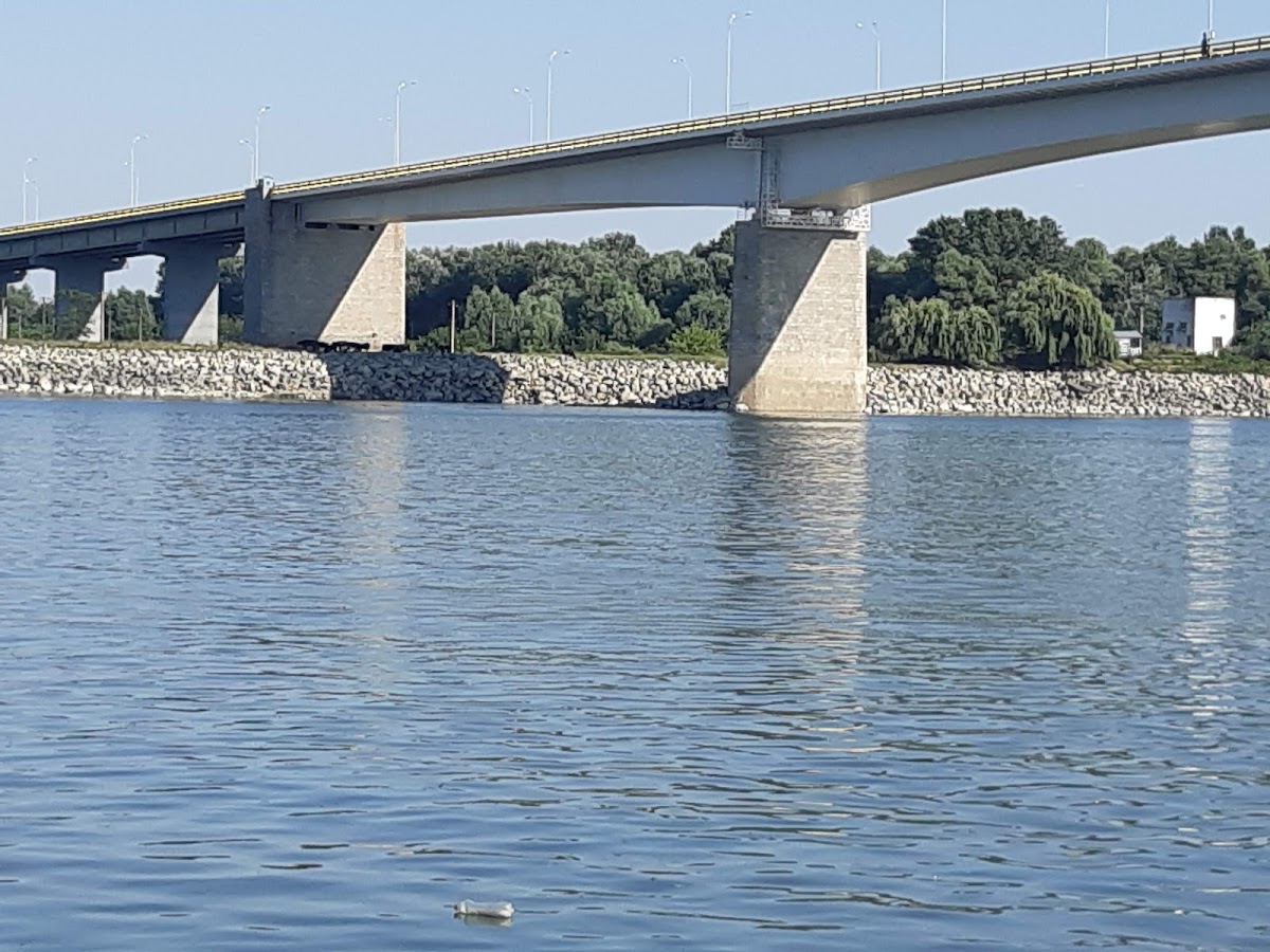 RNP Romsilva - Administrația Parcului Natural Balta Mică a Brăilei R.A - foto 3