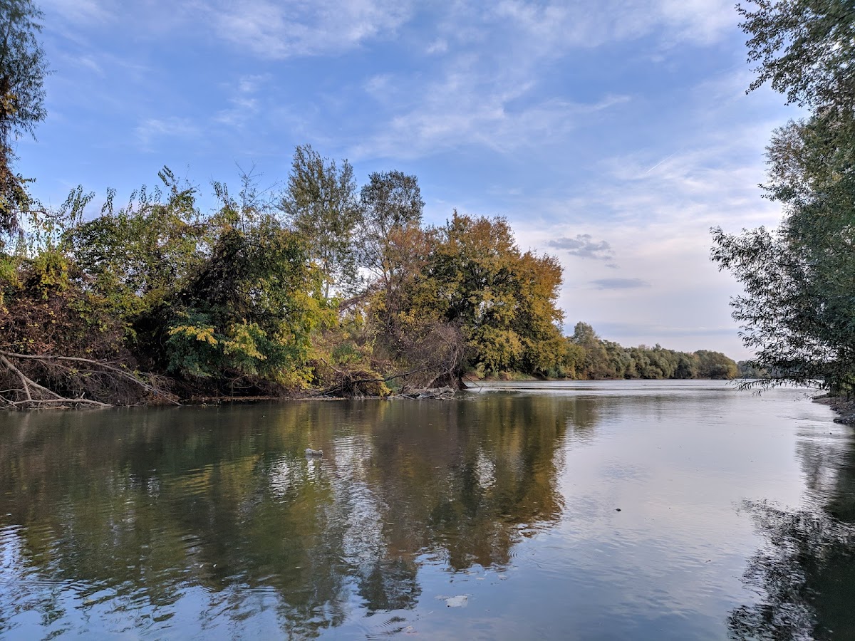 RNP Romsilva Administratia Parcului Natural Lunca Mureșului R.A. - foto 2
