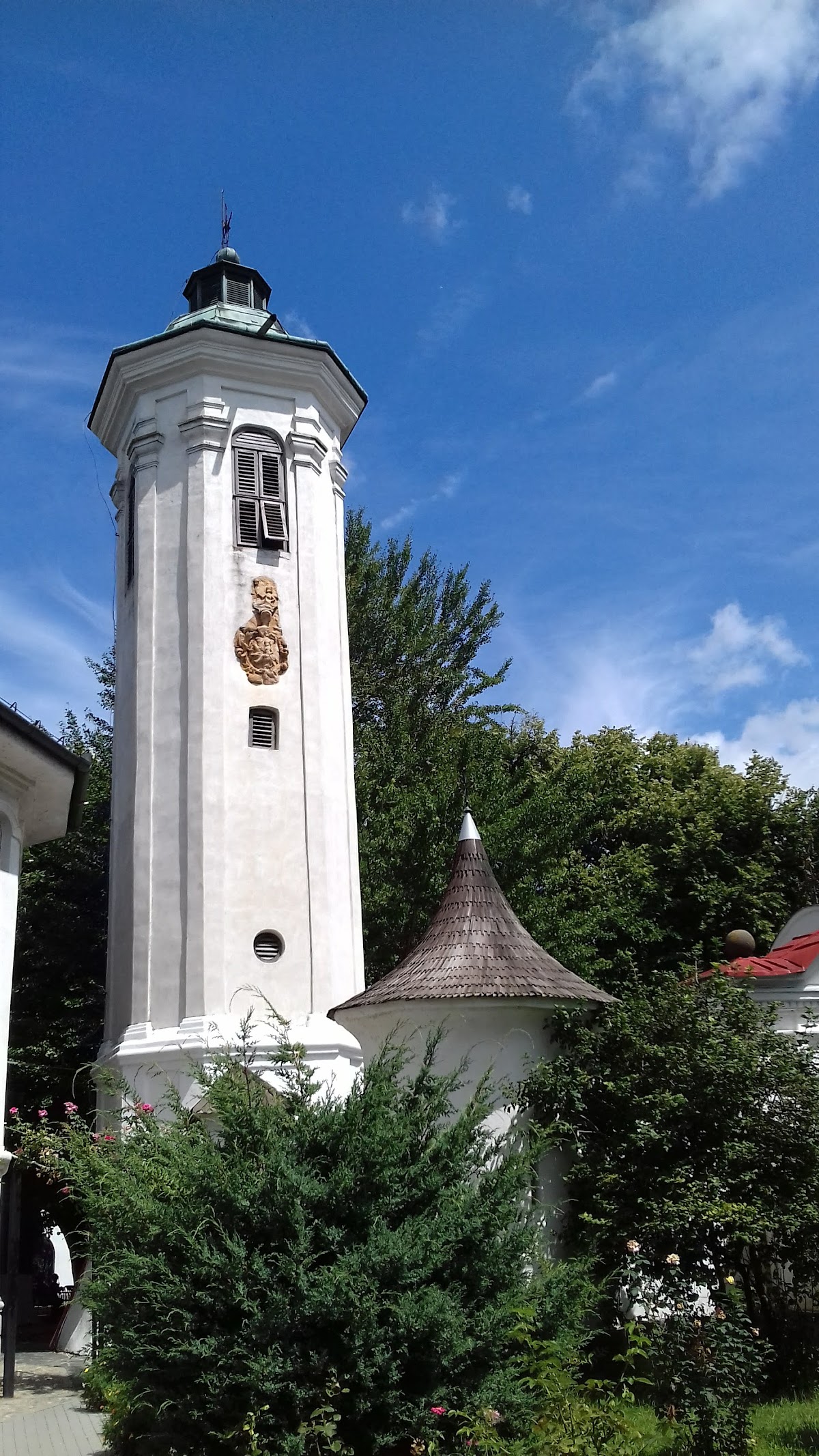 RNP Romsilva Administratia Parcului Natural Lunca Mureșului R.A. - foto 3