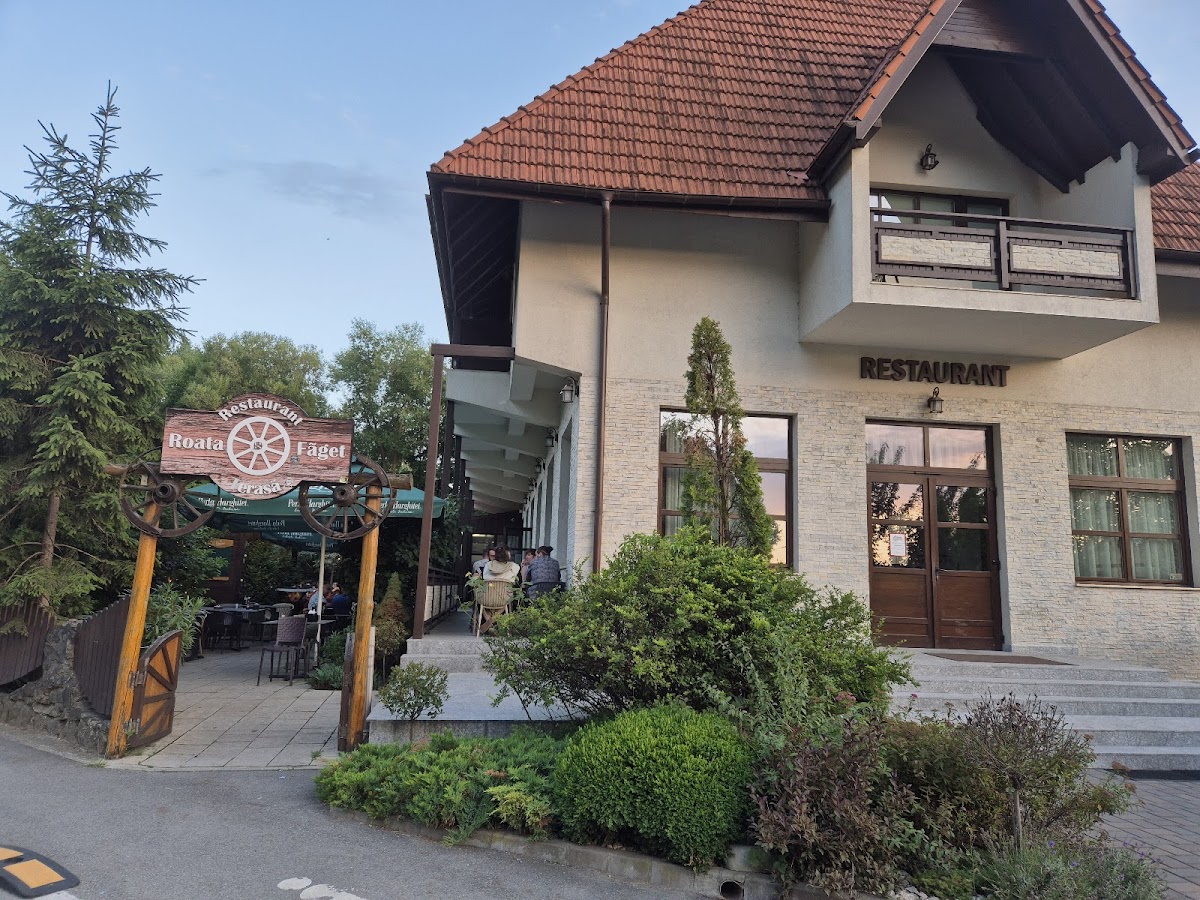 Roata Făget - foto 5