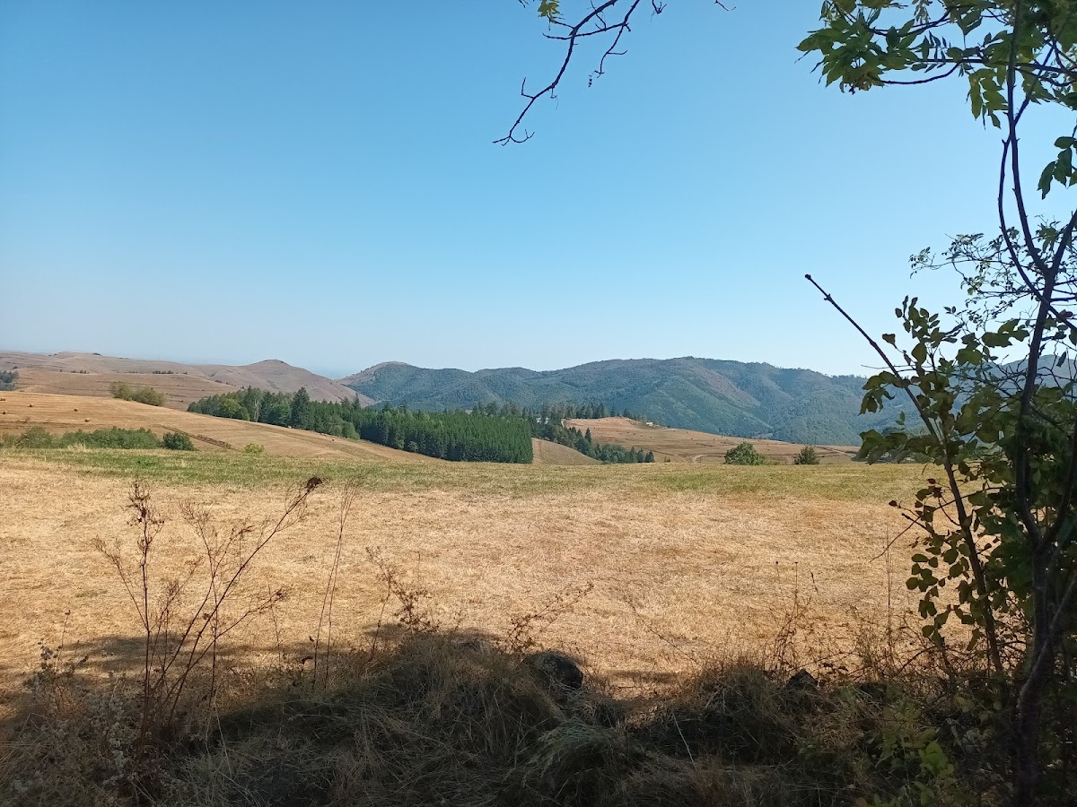 Rogojel - foto 2