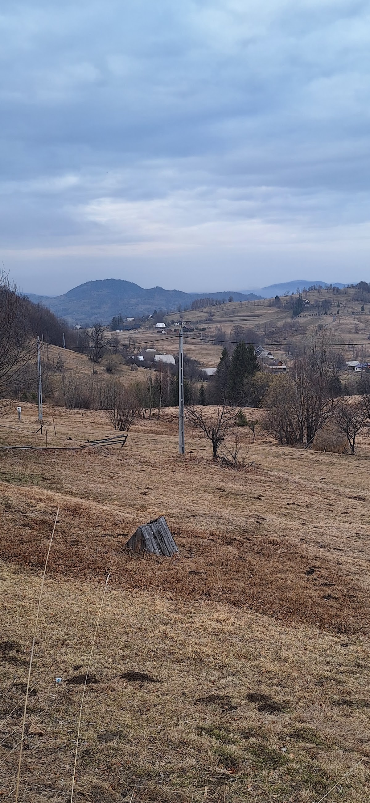 Rogojel - foto 5
