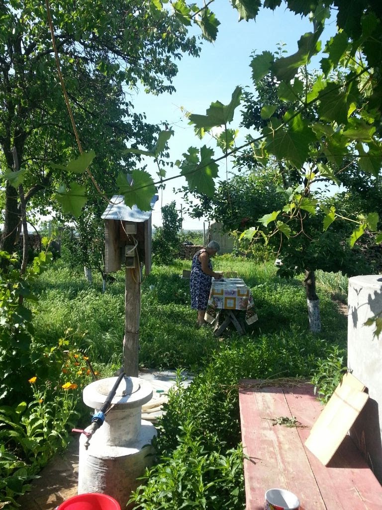 Rogojeni - foto 2