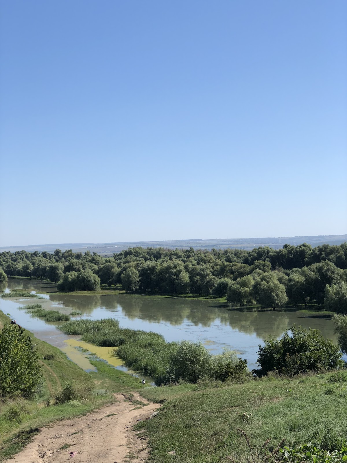 Rogojeni - foto 3