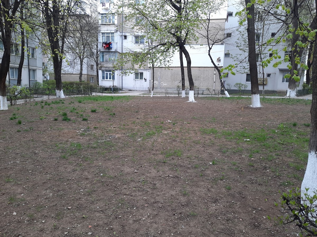 Rond - foto 2