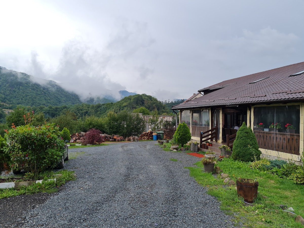 Roua Muntelui, Baia de Arieş