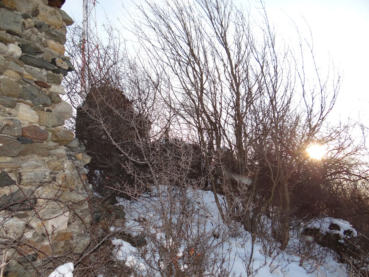 Ruinele cetății Landeskrone de la Tălmaciu - foto 3