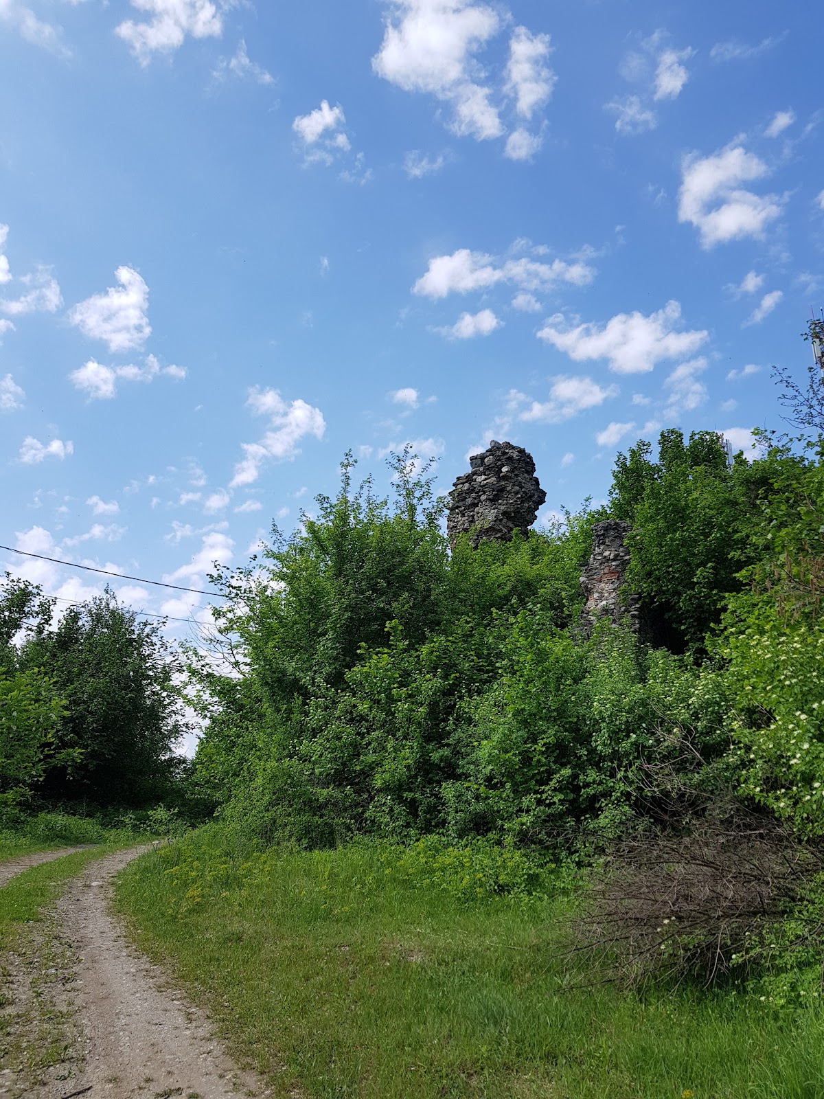 Ruinele cetății Landeskrone de la Tălmaciu - foto 5