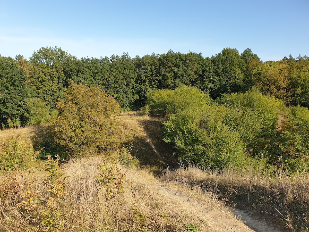 Ruinele cetații Șcheia - foto 3