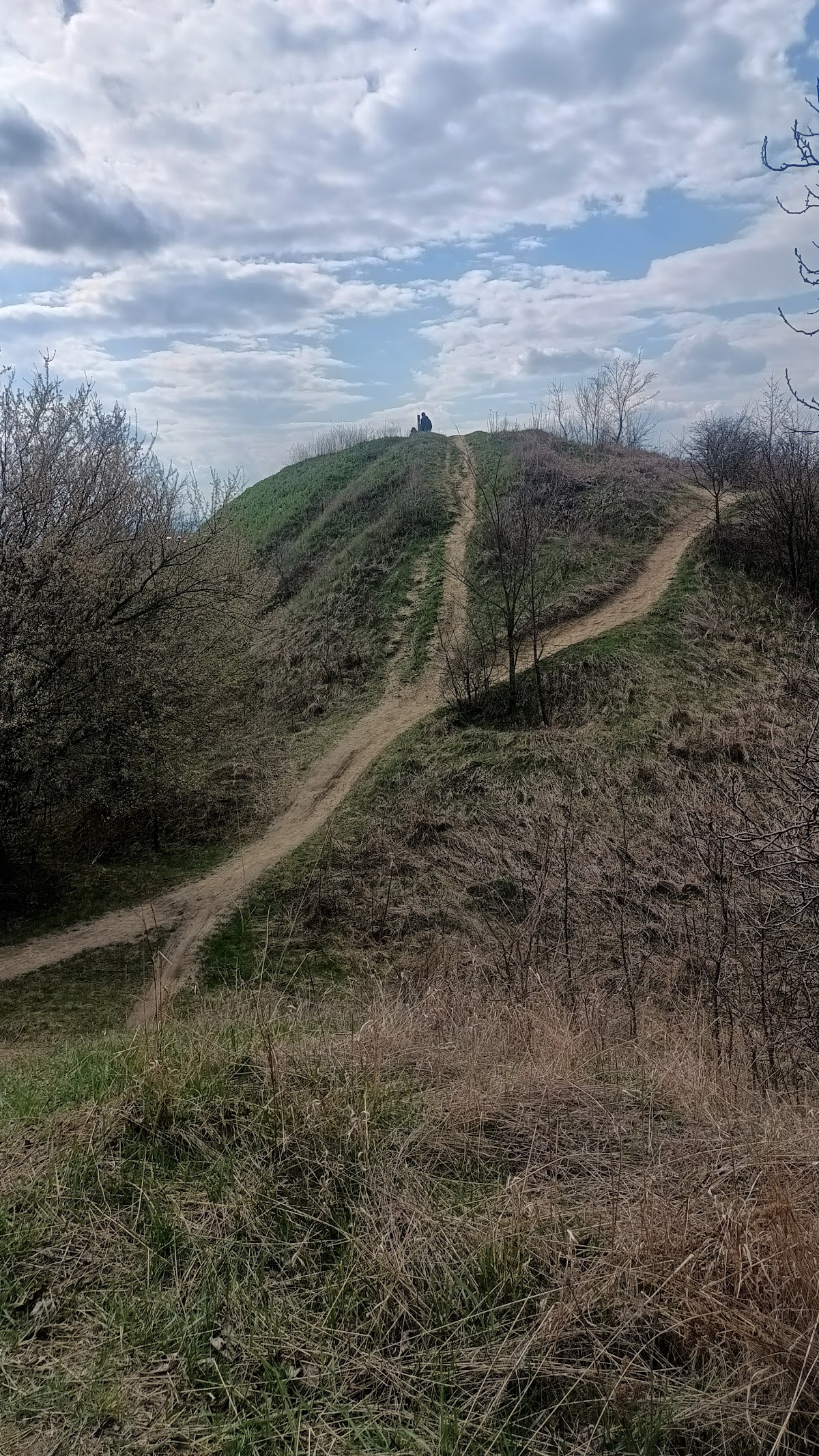 Ruinele cetații Șcheia - foto 4