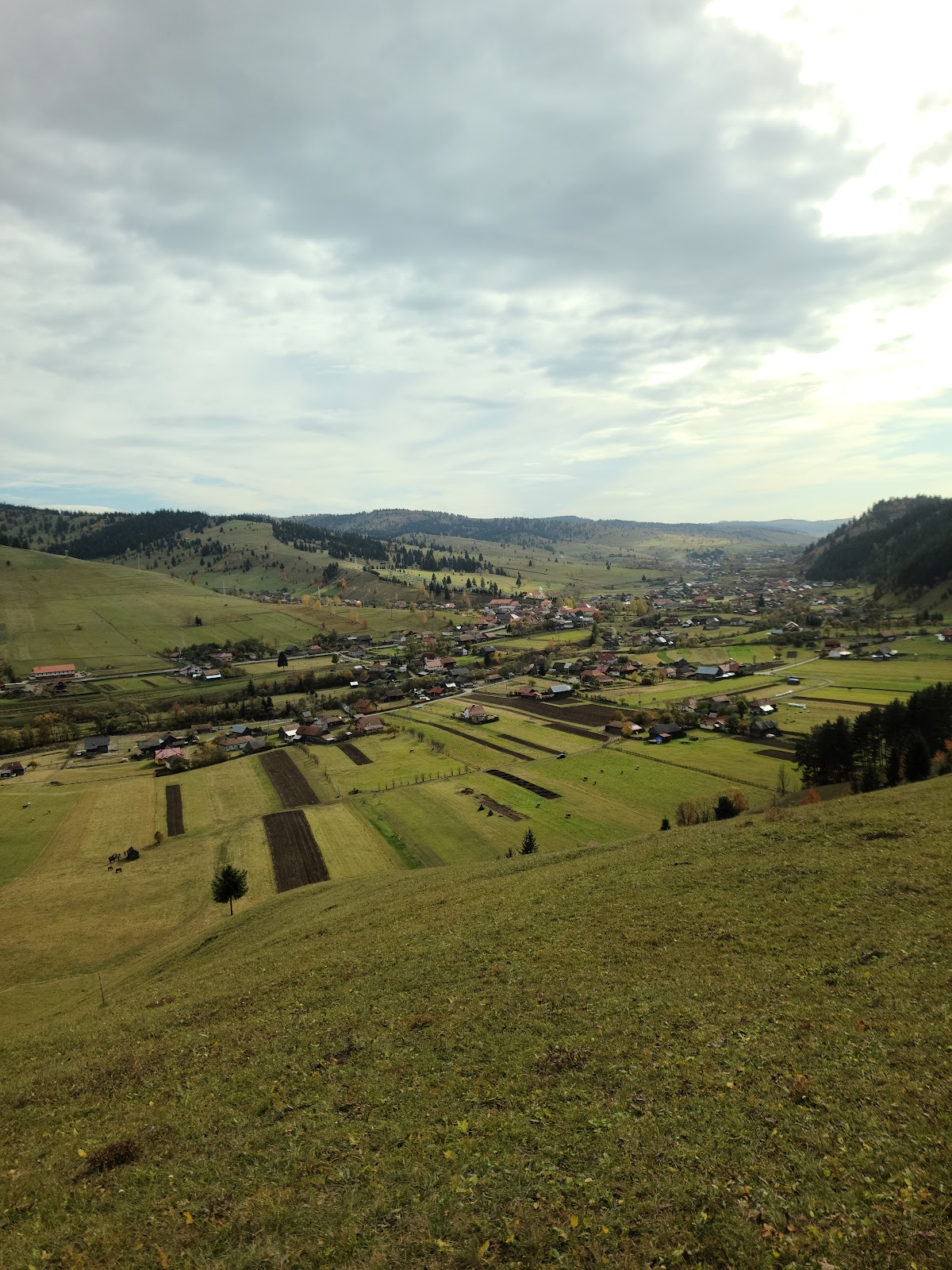 Salle de Mariage Lunca de jos (Măria Fierarului) - foto 3