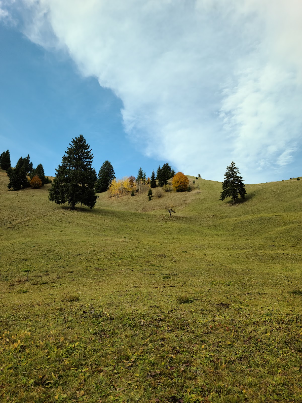 Salle de Mariage Lunca de jos (Măria Fierarului) - foto 4
