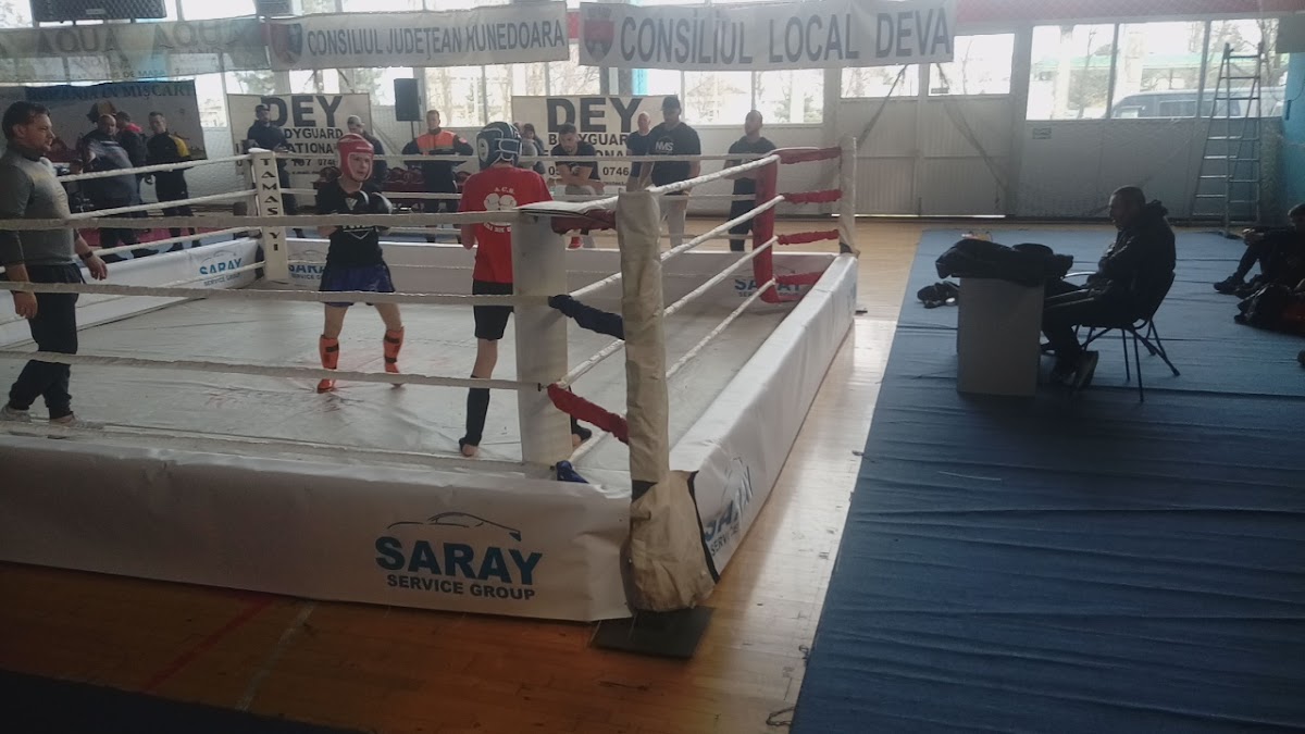 Sala Sporturilor - foto 5