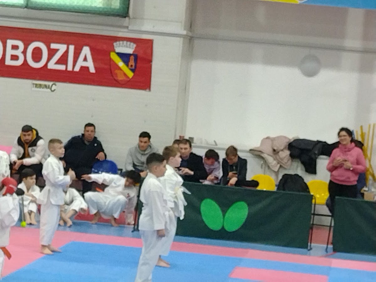 Palazzetto dello Sport „Andreea Nica“ - foto 4
