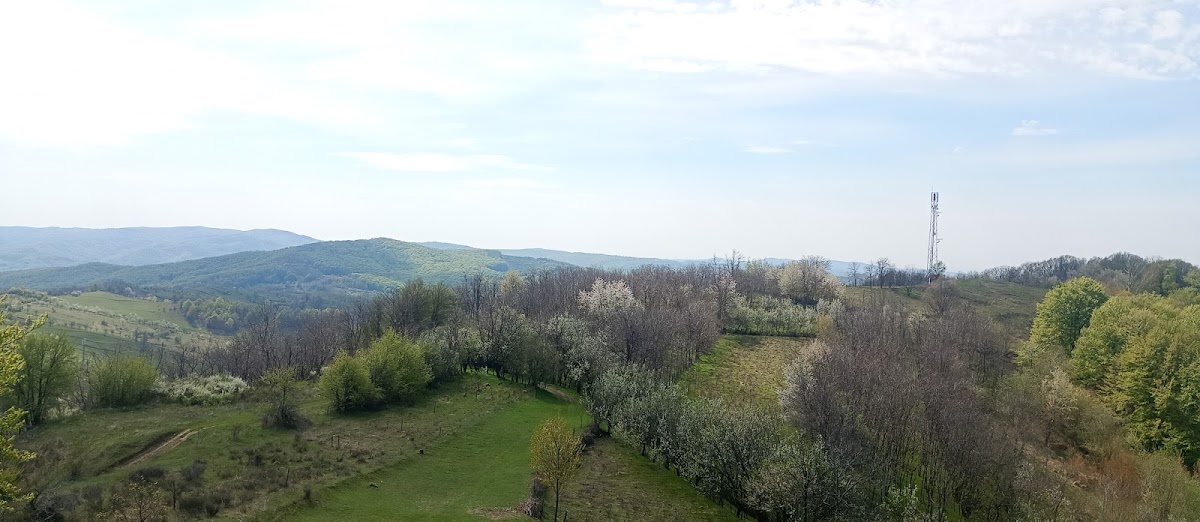 Salcia, Prahova megye - foto 2