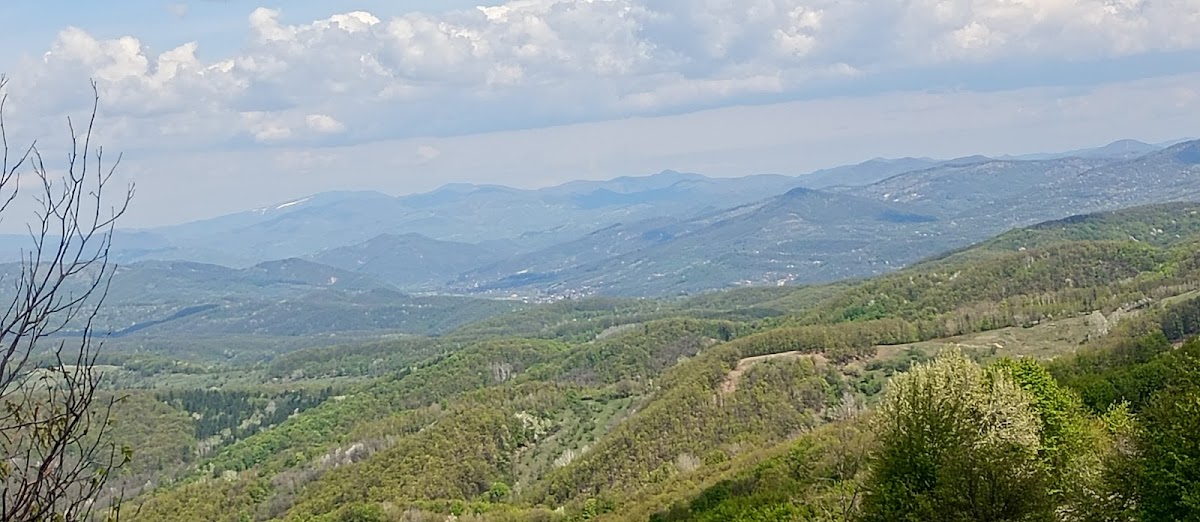 Salcia, Prahova megye - foto 3