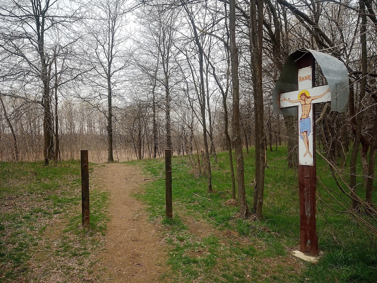 Saule de Petrache Lupu - foto 5