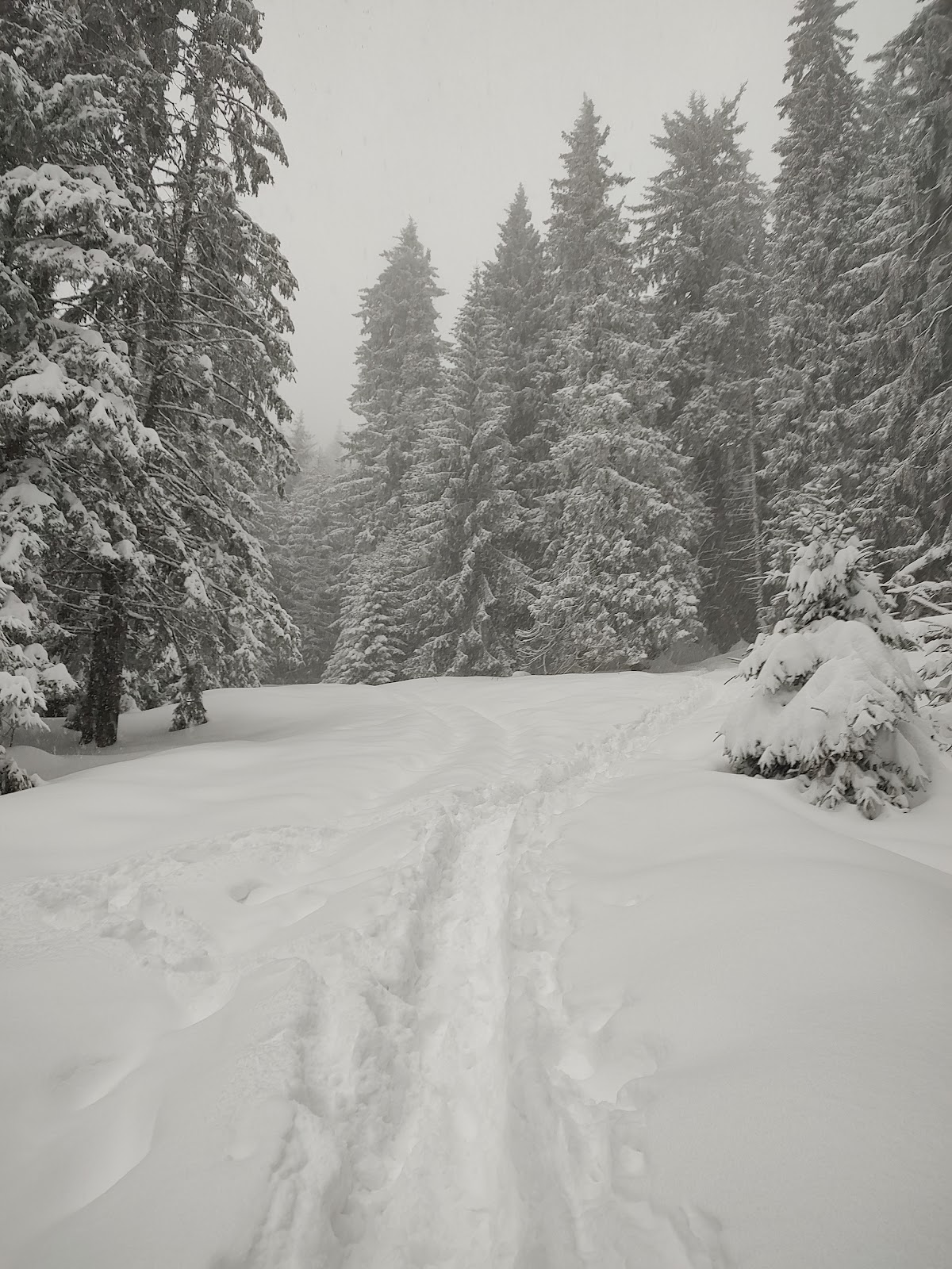 Salvamont Piatra Mare - foto 4