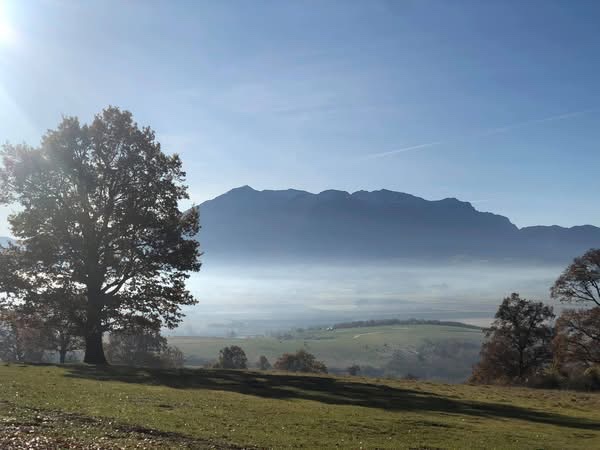 Libearty Sanctuary Zărnești - foto 4