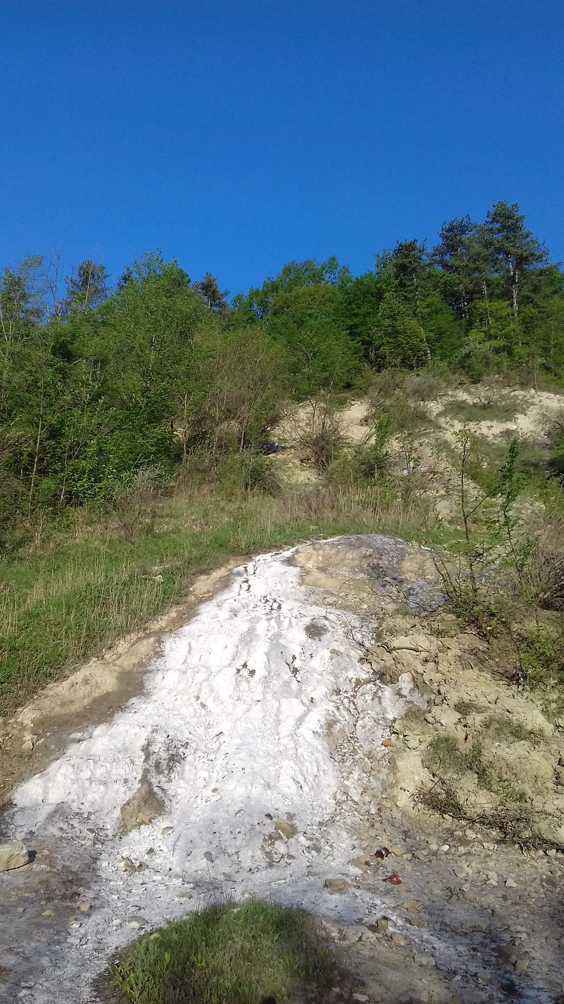 Bădila