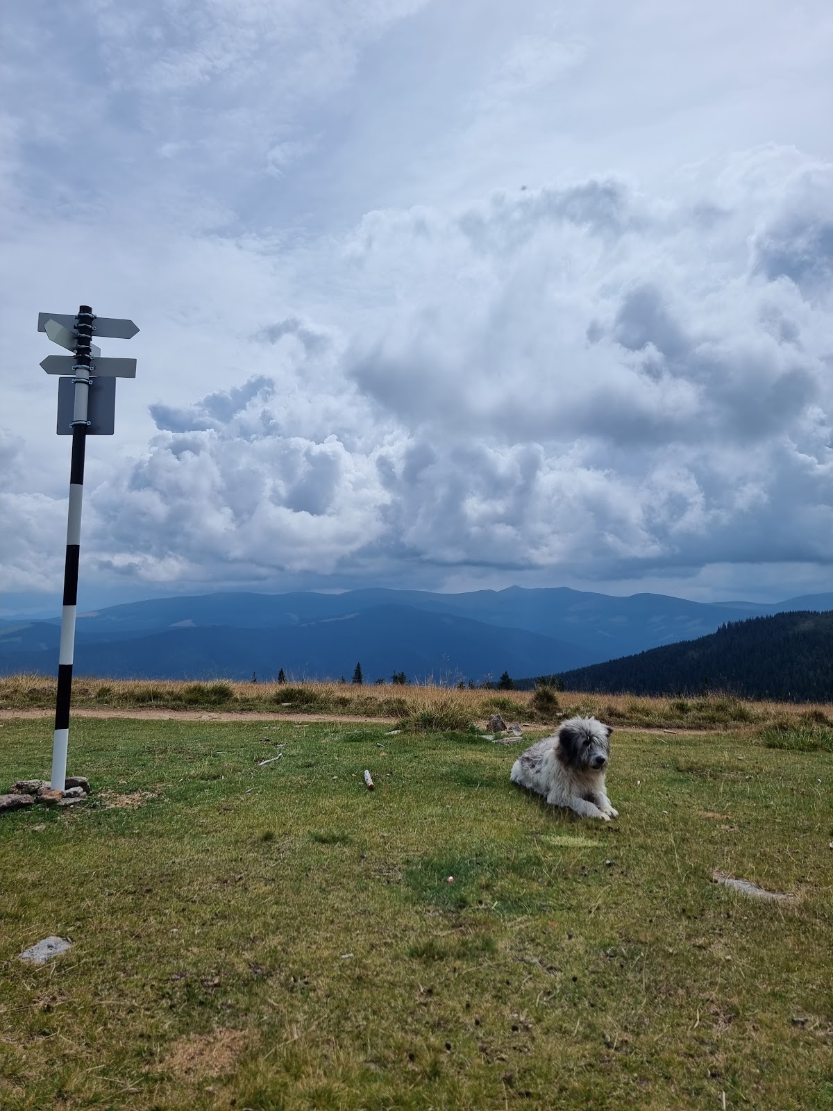 Șaua Bătrâna - foto 3