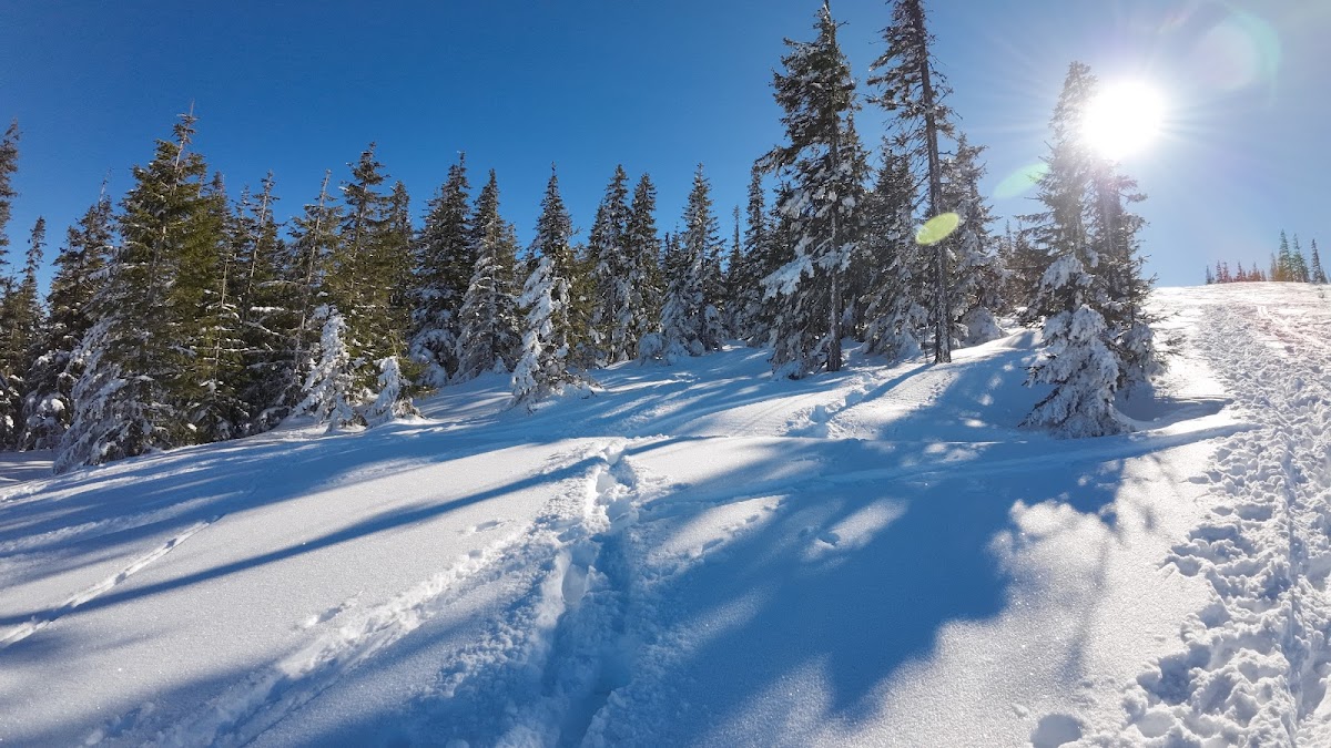 Șaua Bătrâna - foto 4