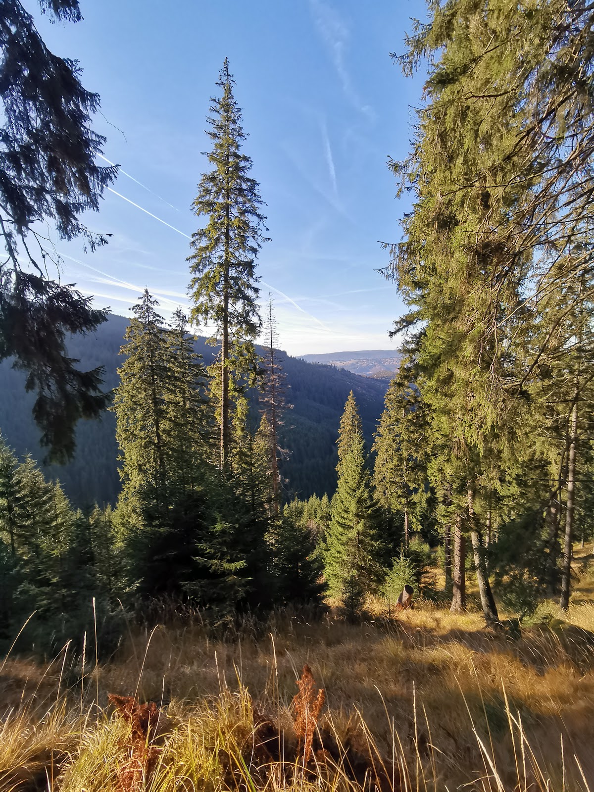 Șaua Bătrâna - foto 5