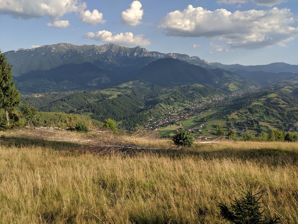 Şaua Măgurei - foto 2
