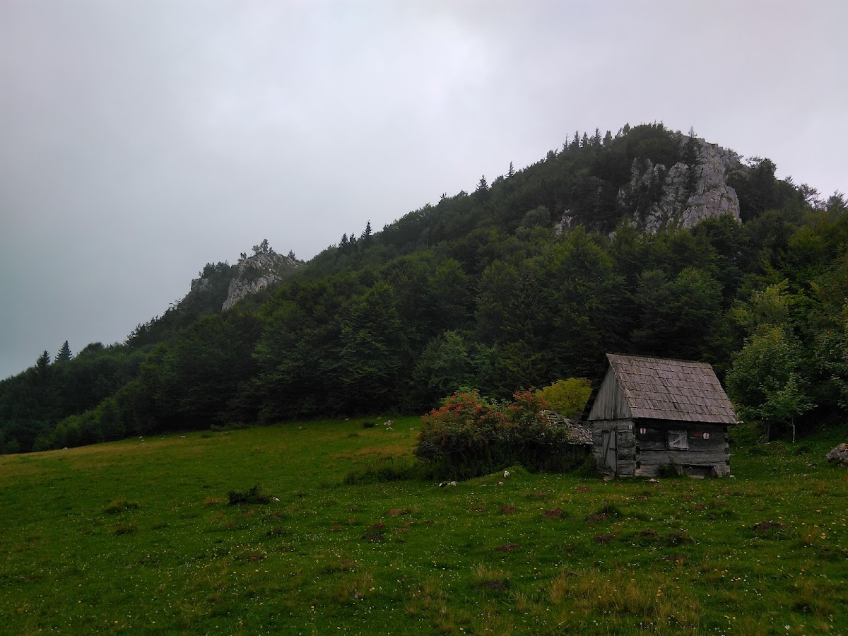 Şaua Măgurei - foto 3