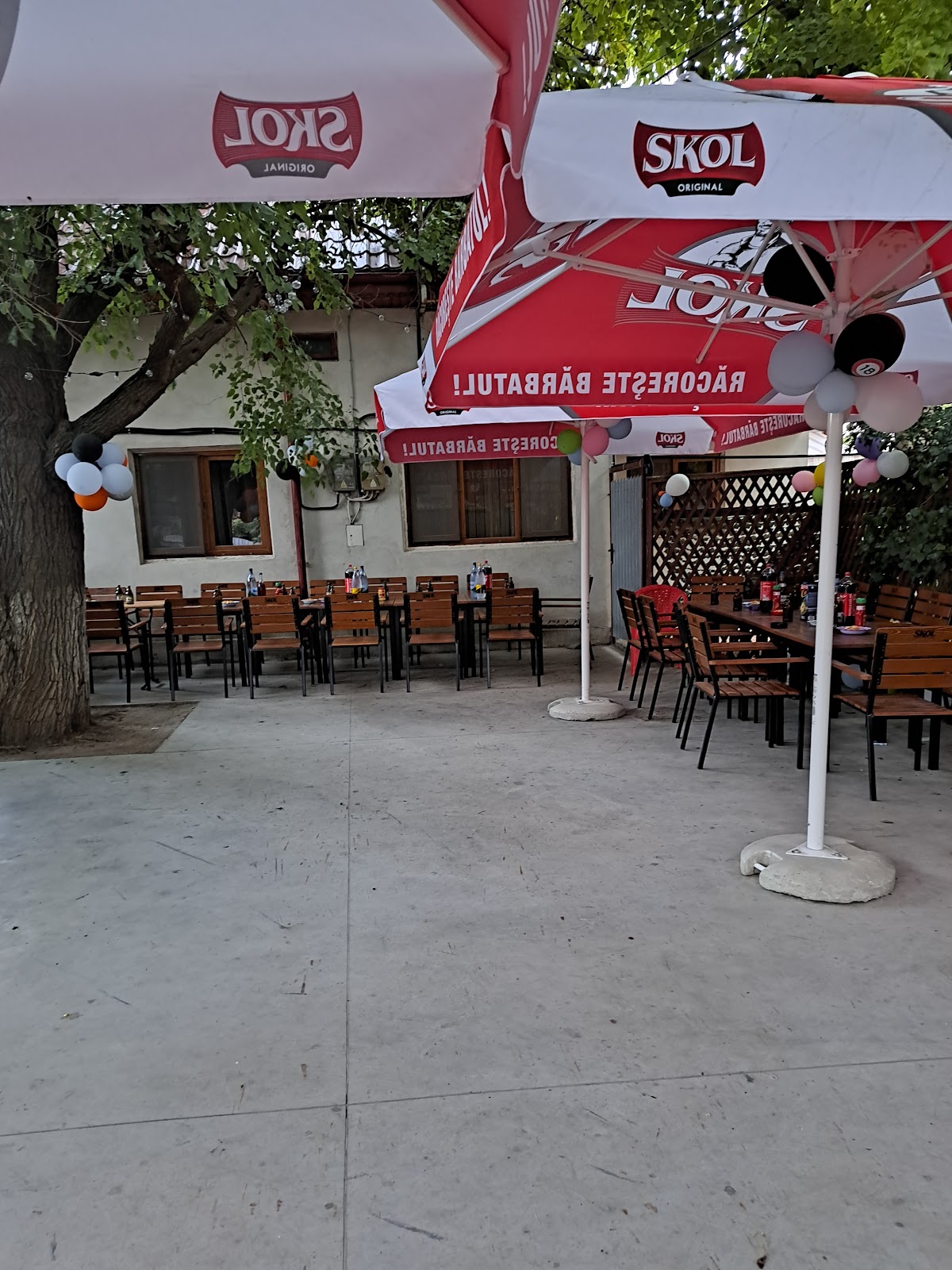 SC Mimi laser srl - foto 2