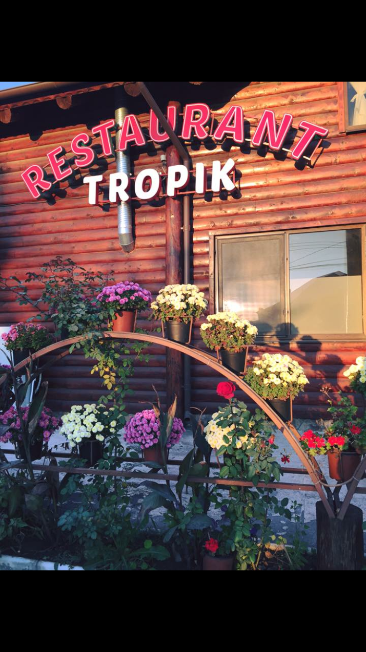 SC TROPIK BAR SRL - foto 3
