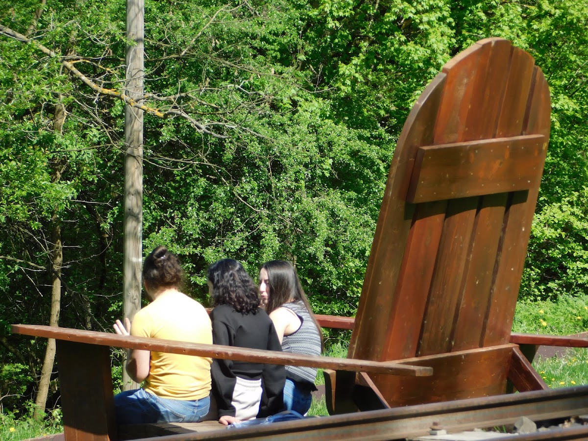 Scaun "gigant" - foto 4