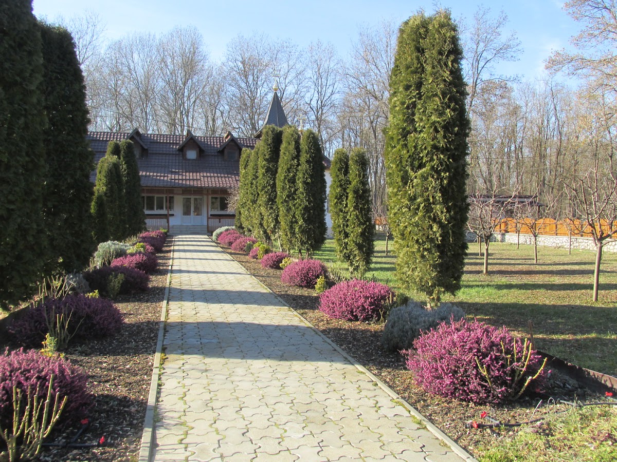 Schitul „Sfânta Cuvioasa Parascheva” - Bodrogu Vechi - foto 5