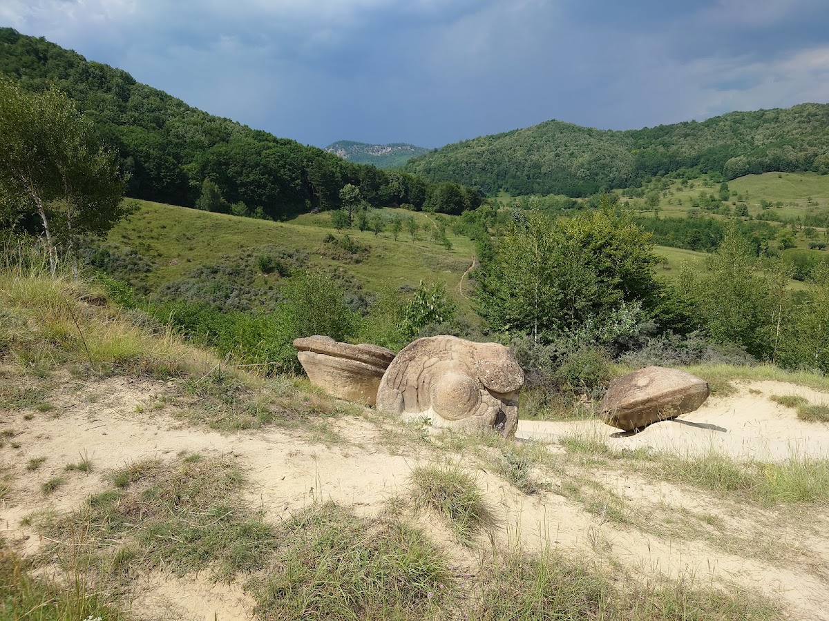 Schiturile Rupestre din Bozioru - foto 4