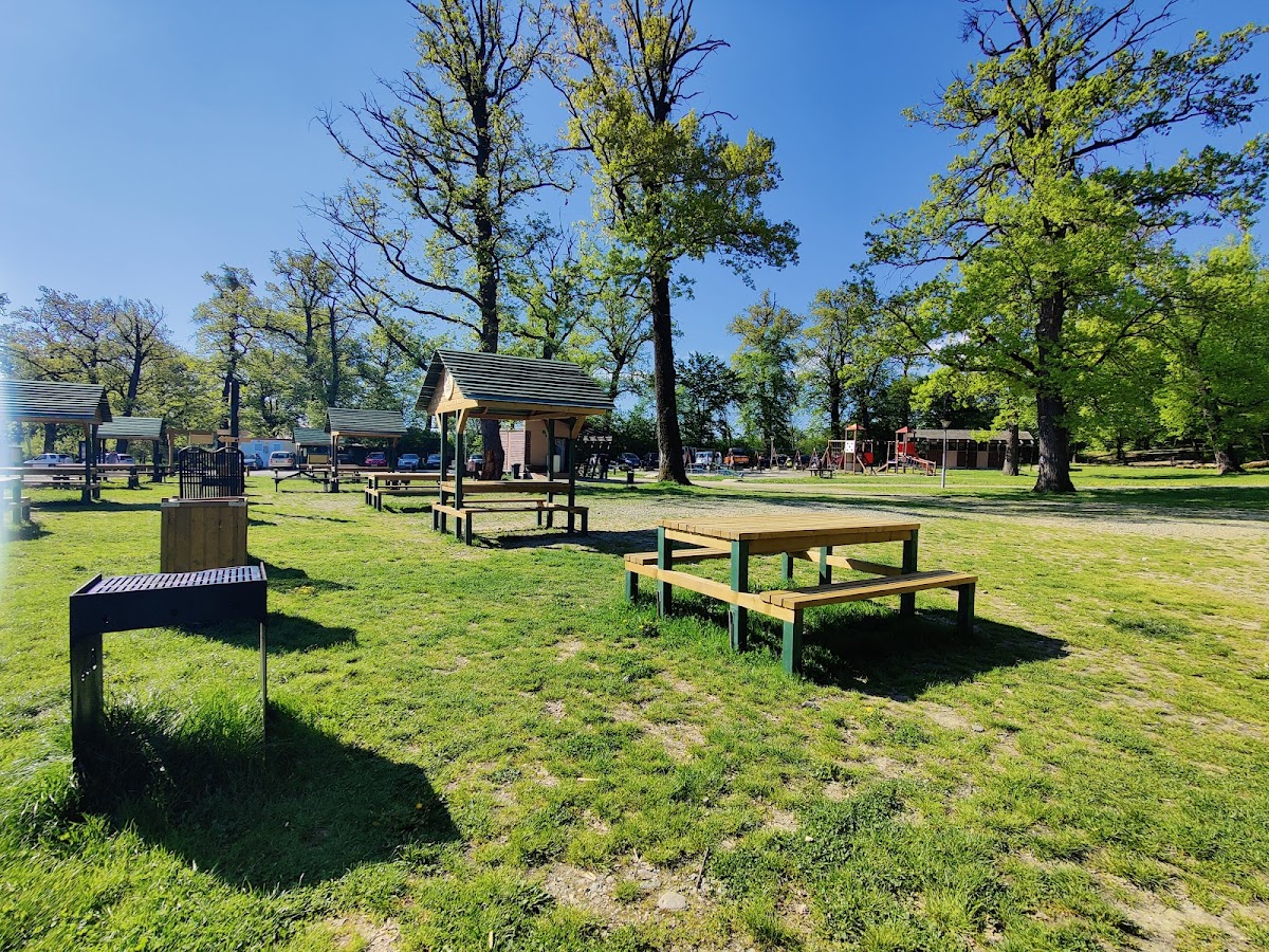 Schullerwald - foto 5