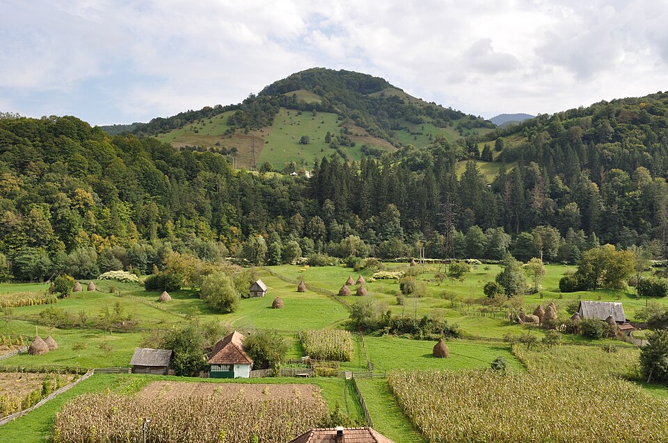 Scoala veche Muncelu, Muncelu