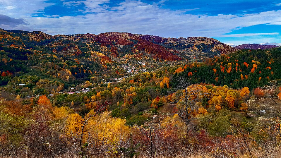 Scoala veche Poiana Mare