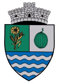 Scoala veche Văleni