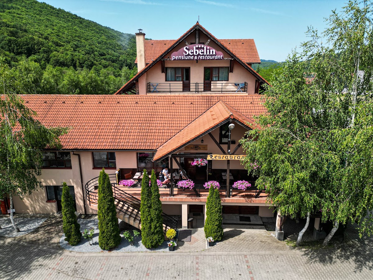 Sebelin Pensiune Restaurant - foto 3